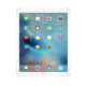 IPAD PRO 12.9"4G 4TH GEN CELLULAR & WIFI 128GB (2020)