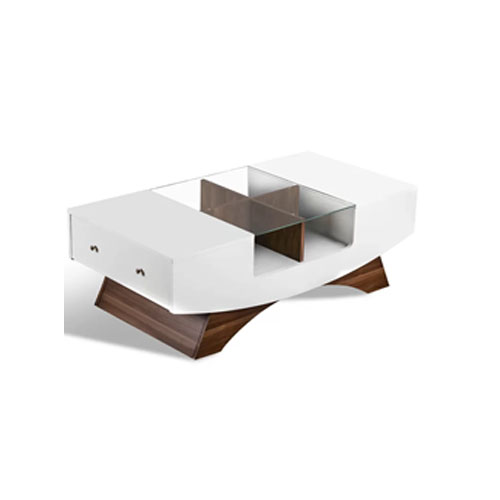 RINDE COFFEE TABLE WITH STORAGE