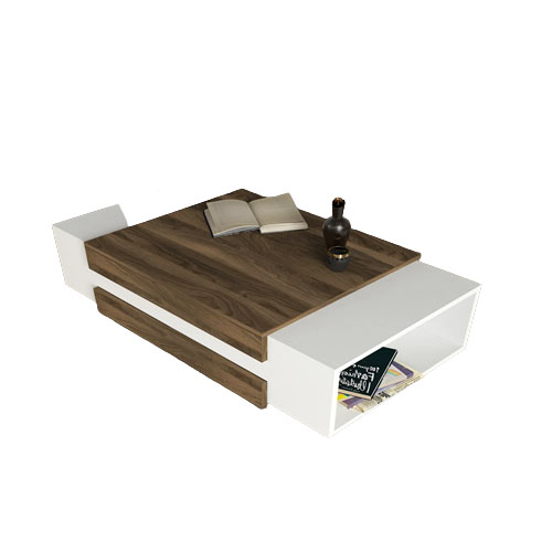 TASH COFFEE TABLE WITH STORAGE