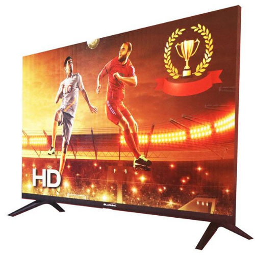 BLACKARK 24 INCH HD LED DIGITAL TV WITH AC/DC（9.8V-19V）T24D10DC